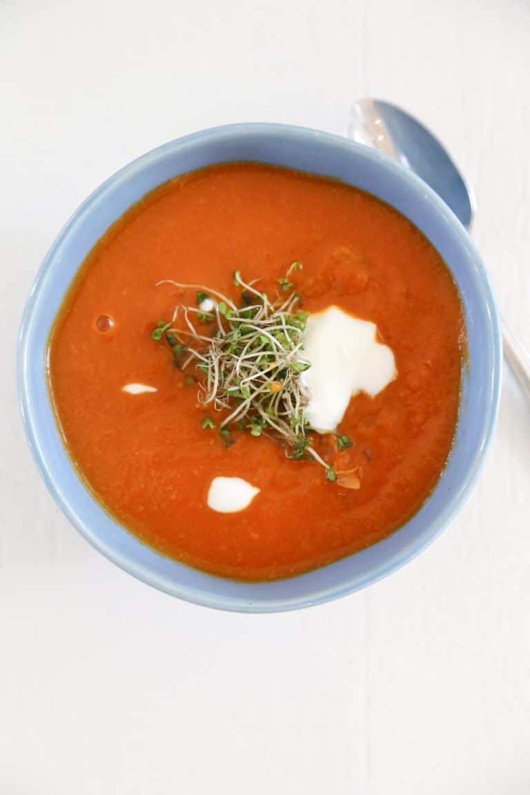 Is Tomato Soup Easy To Digest?