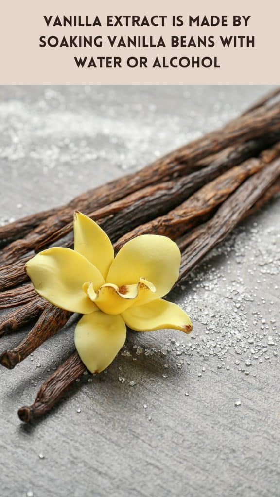 image of vanilla beans with an orchid  with text that says vanilla extract is made by soaking vanilla beans with water or alcohol