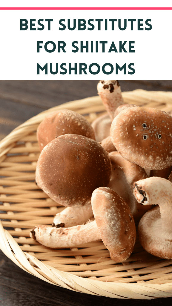 photo of shiitake mushrooms with text that says best substitutes for shiitake mushrooms