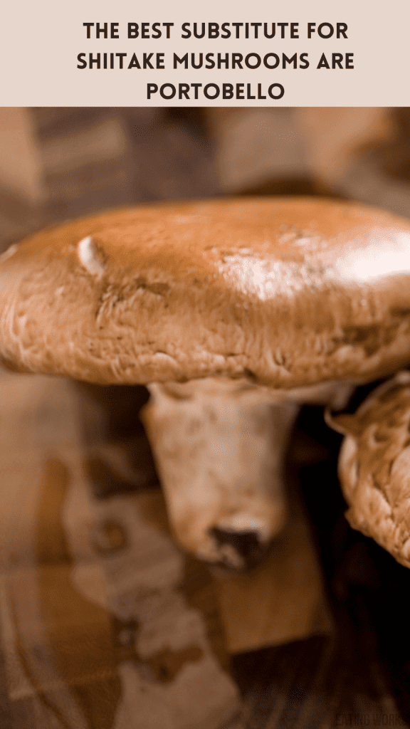 portobello mushroom with text that says portobello mushrooms are the best substitutes for shiitake mushrooms