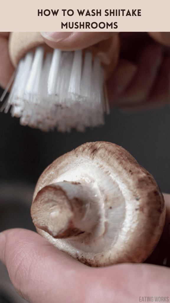 someone cleaning a mushroom with a brush