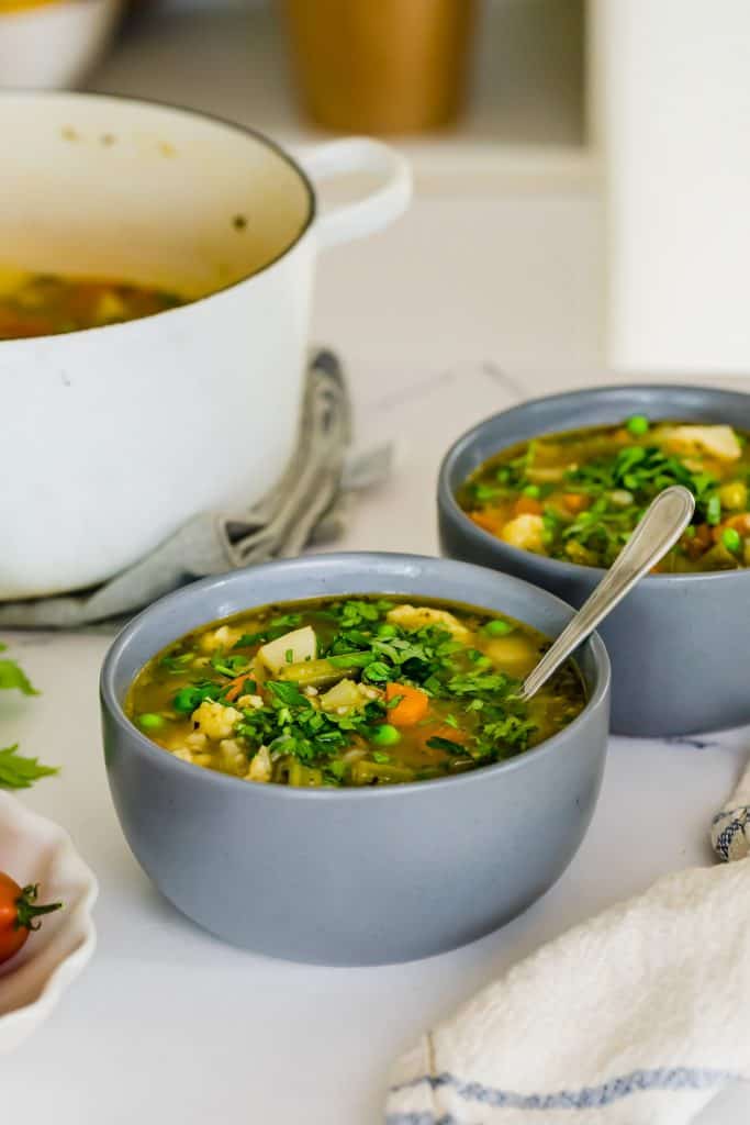 hearty vegetable soup in a bowl with the pot 