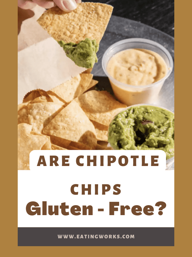 gluten free at chipotle, Chipotle Gluten Free Menu Guide 2023