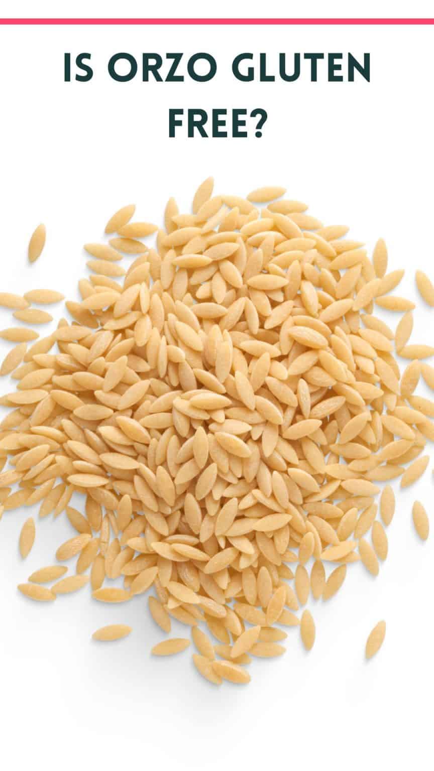 Is Orzo Gluten Free? No Here's the Best Substitutions + Gluten Free