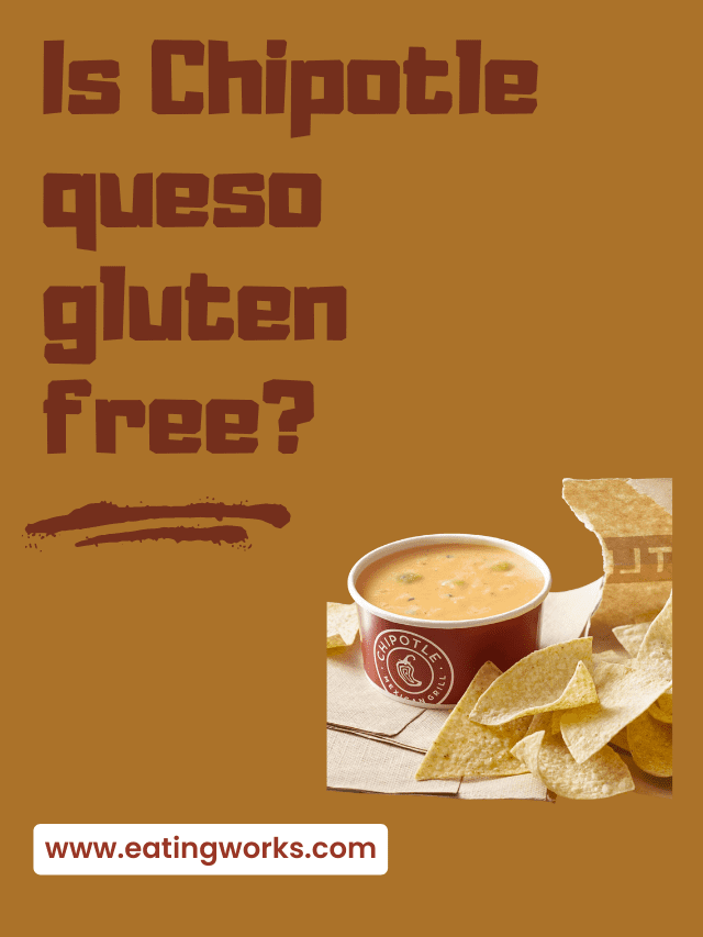 Is Chipotle Queso Gluten free?