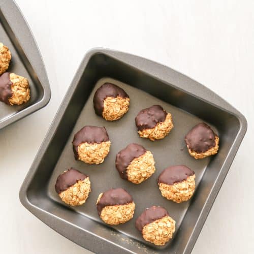 cookie sheet full of no bake pumpkin cookies dipped in chocolate