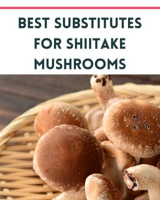 If you love mushrooms than shiitake mushrooms need no introduction. While they’re my favorite go-to mushroom, if you need a Substitute For Shiitake Mushroom look no further. Our newest blog post covers the best shiitake mushroom alternatives for all different kinds of recipes and types of cooking🌱❤️🌱
.
.
You can find the article on our website! https://www.eatingworks.com/shiitake-mushroom-substitute/
.
.
.
#mushrooms #shitakemushrooms #healthyeating #healthydiet #healthymealprep #healthandwellness #healthylifestyle #eatingworks #eatingworksfl #healthyfood4happybodies